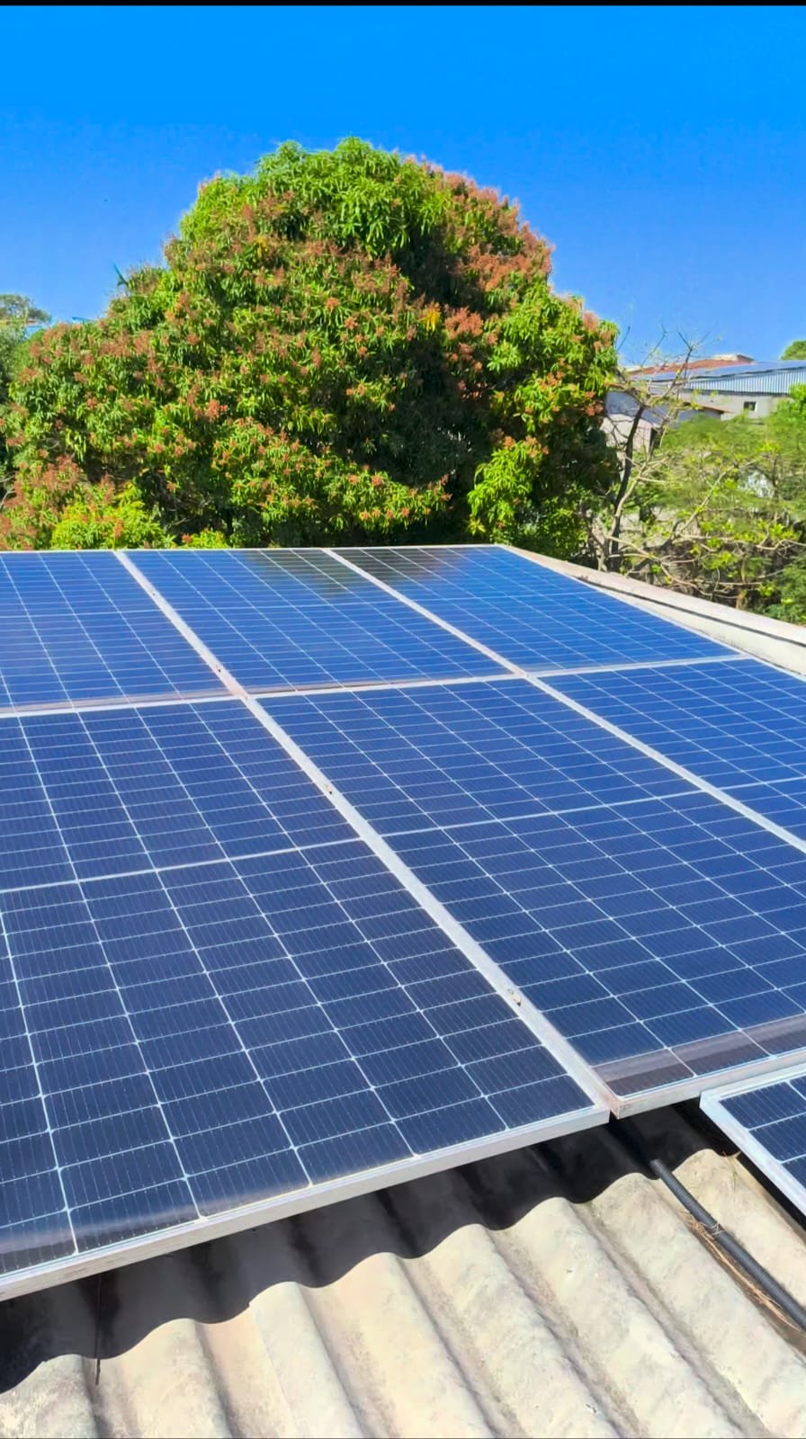 Placa solar depois da limpeza feita pela GreenFlex